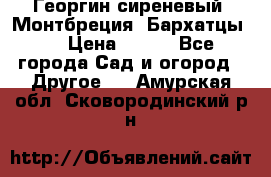 Георгин сиреневый. Монтбреция. Бархатцы.  › Цена ­ 100 - Все города Сад и огород » Другое   . Амурская обл.,Сковородинский р-н